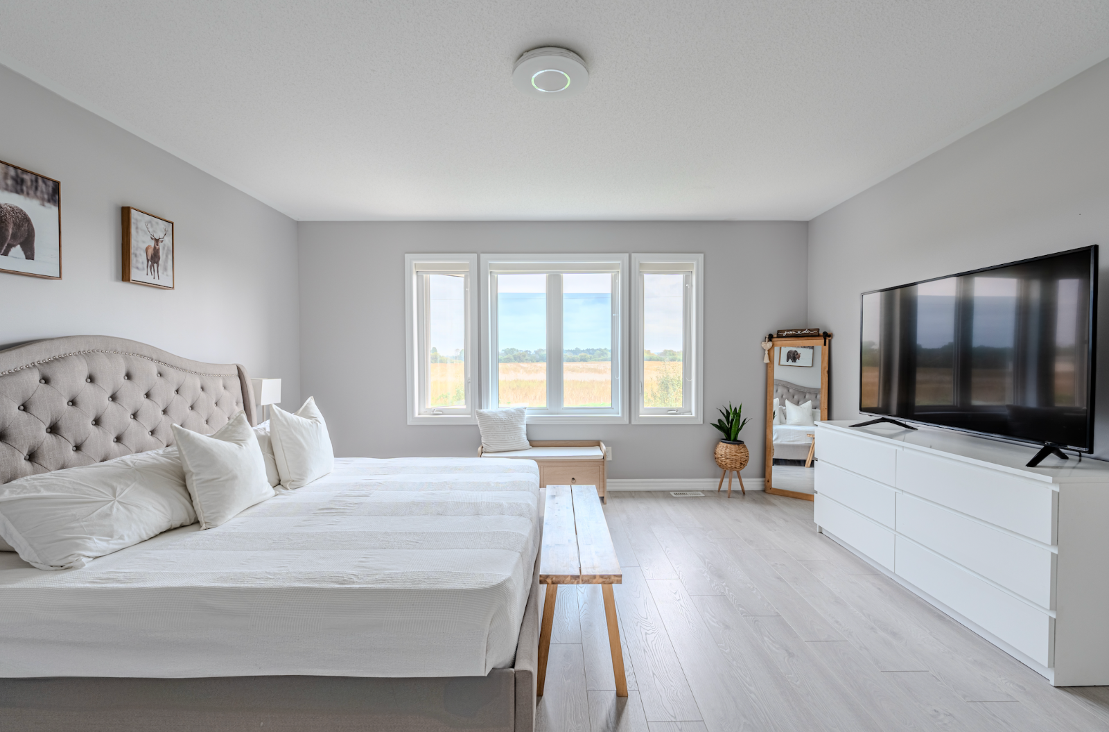 Real Estate Premium Photography