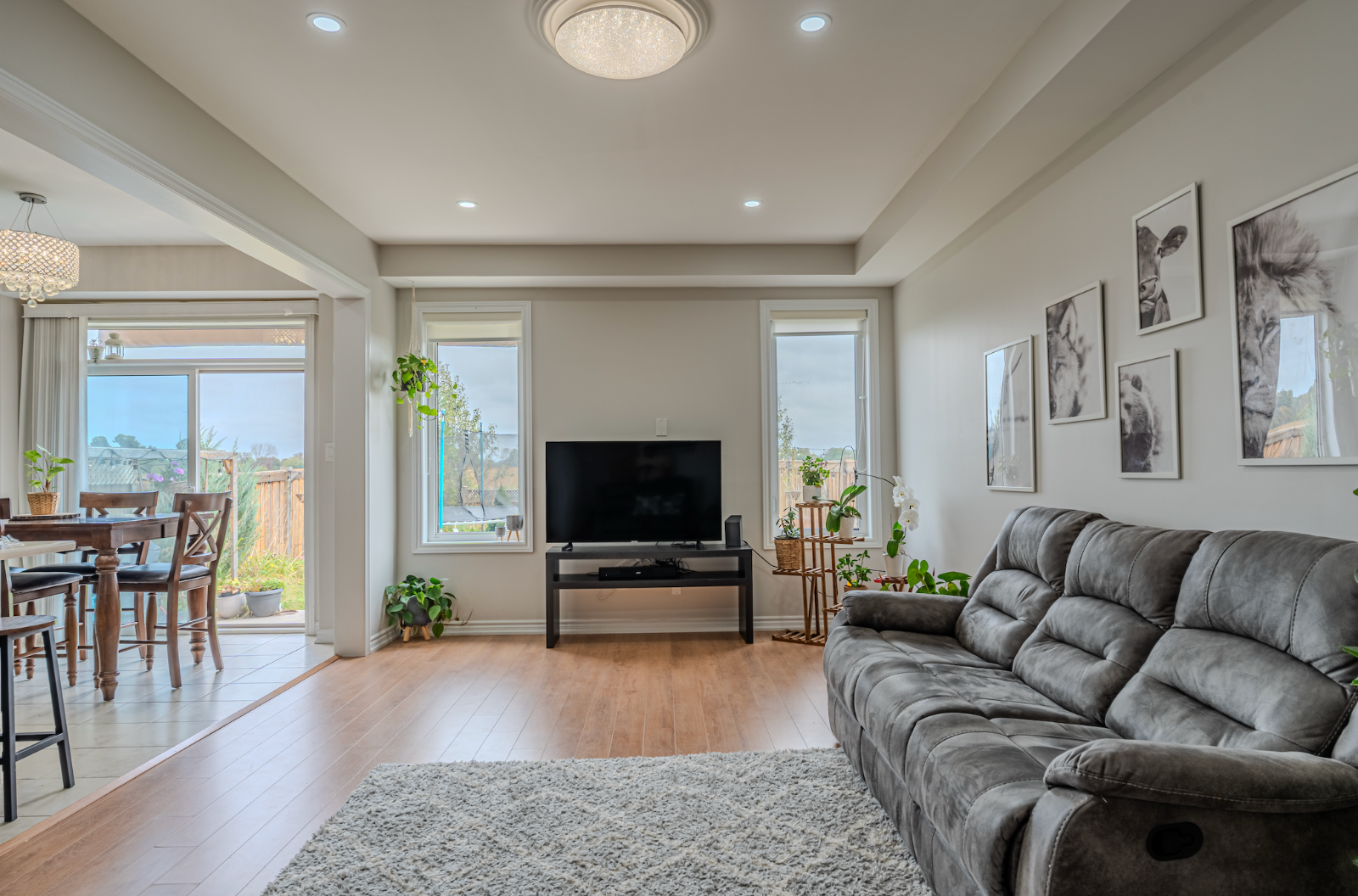 Real Estate Premium Photography