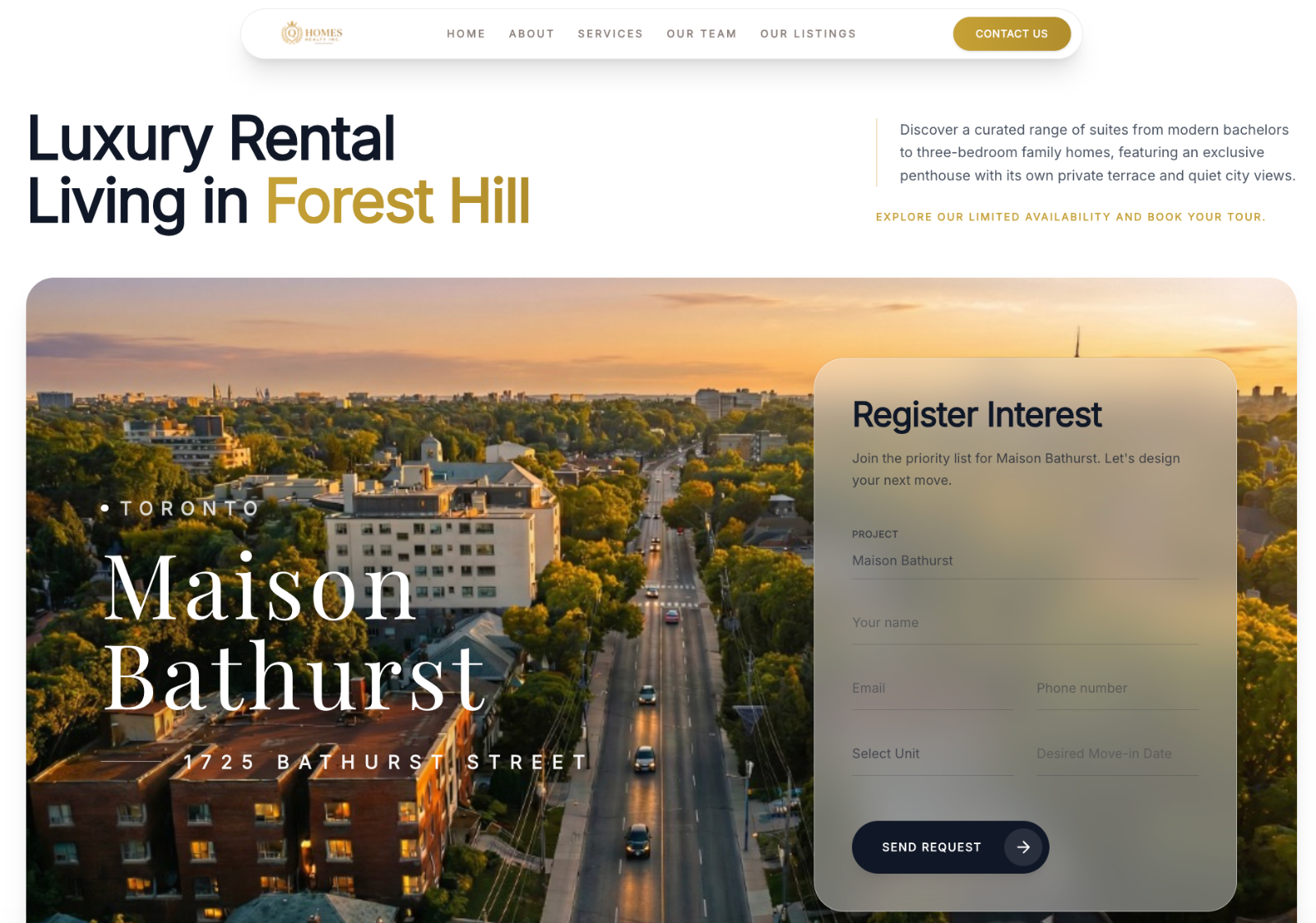 Website development