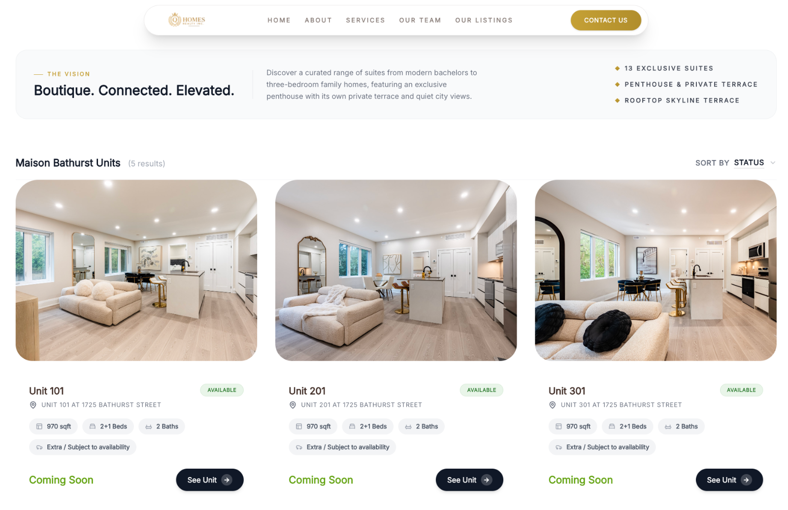 Website development